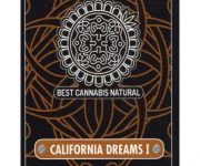 6 UND FEM - CALIFORNIA DREAMS I