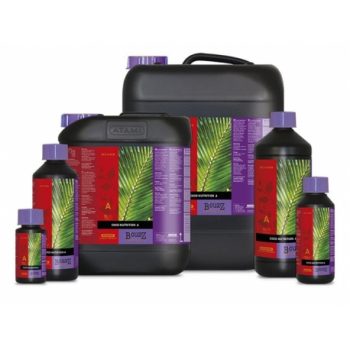 B'CUZZ COCO NUTRITION A 10 L.