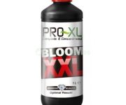 BLOOM XXL 1 LT PRO-XL