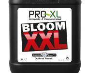 BLOOM XXL 10 LT PRO-XL