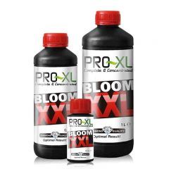 BLOOM XXL 500 ML PRO-XL